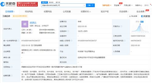網絡文化經營 定義、挑戰與未來展望