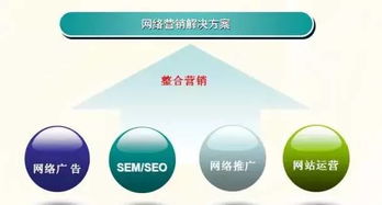 視音頻斷絕下的網(wǎng)銷生存法則 手握出版物許可證的想象空間